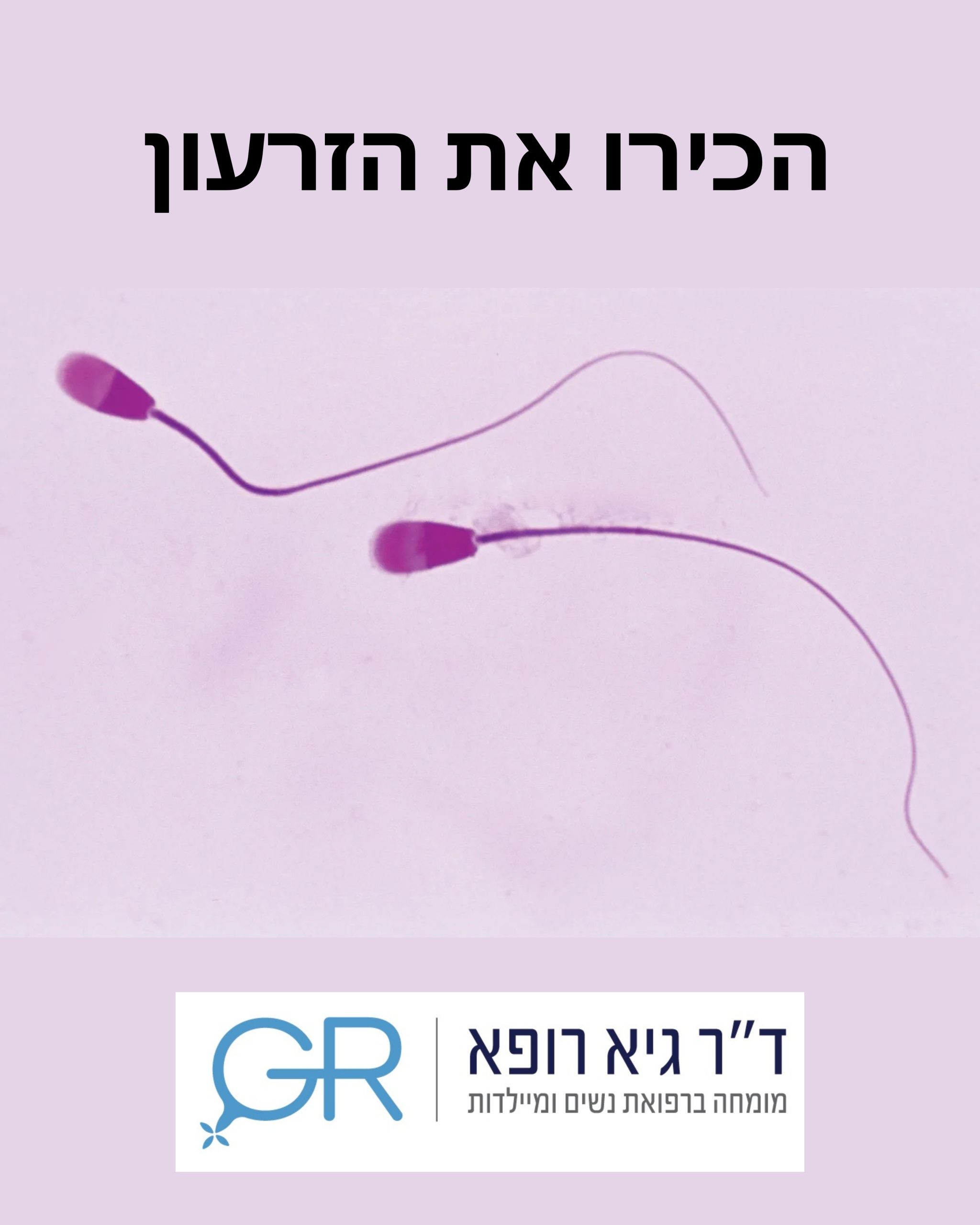 הכירו את הזרעון